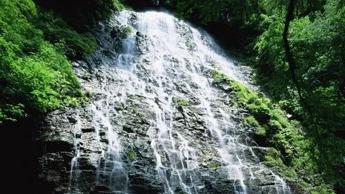 高效全自动